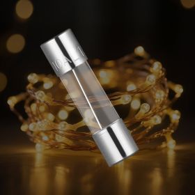 120 Pcs Fast-Blow Glass Fuses Assortment Kit 125V 5 X 20 Mm & 3.6 X 10 Mm