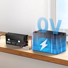 12V 60A Lithium Battery Charger 14.6V AC-DC LiFePO4 Smart Charger For RV